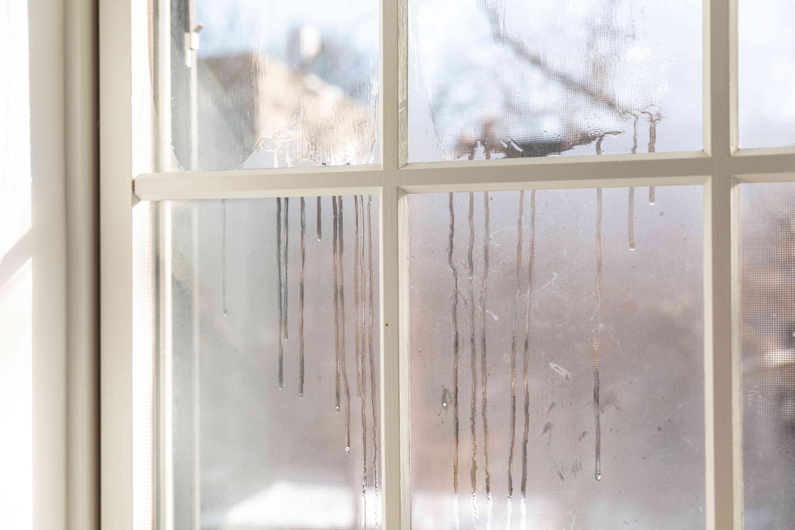 Window Maintenance