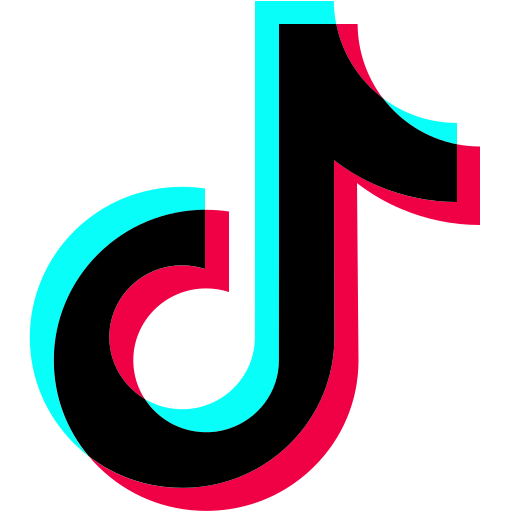 TikTok Downloader
